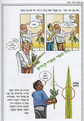 פניני הלכה לילדים - הלכות חג הסוכות | מכון הרב ברכה