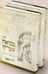 נבואה שעריך - הגות ומחשבה, זמנים ואישים 2 כרכים | הרב חיים ישעיהו הדרי