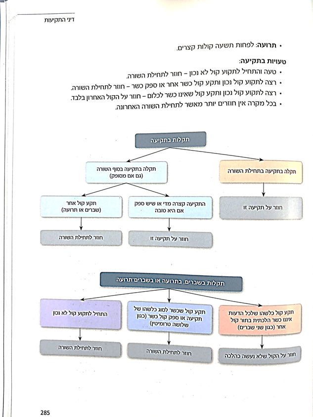 הלכה ממקורה ראשה השנה הרב רימון סולמןת