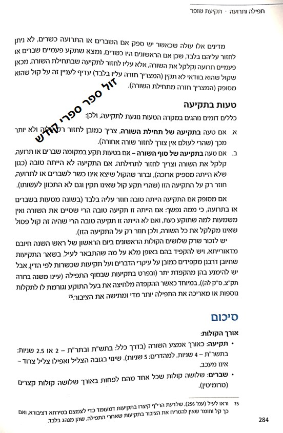 הרב רימון ראש השנה סולמות