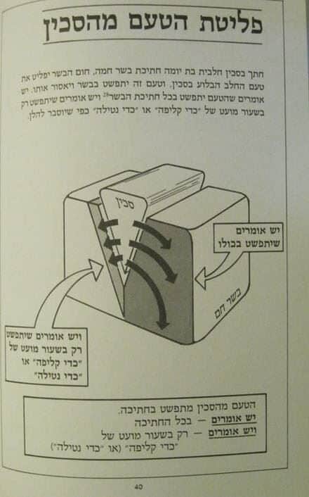 בשר בחלב הלכות מצויירות