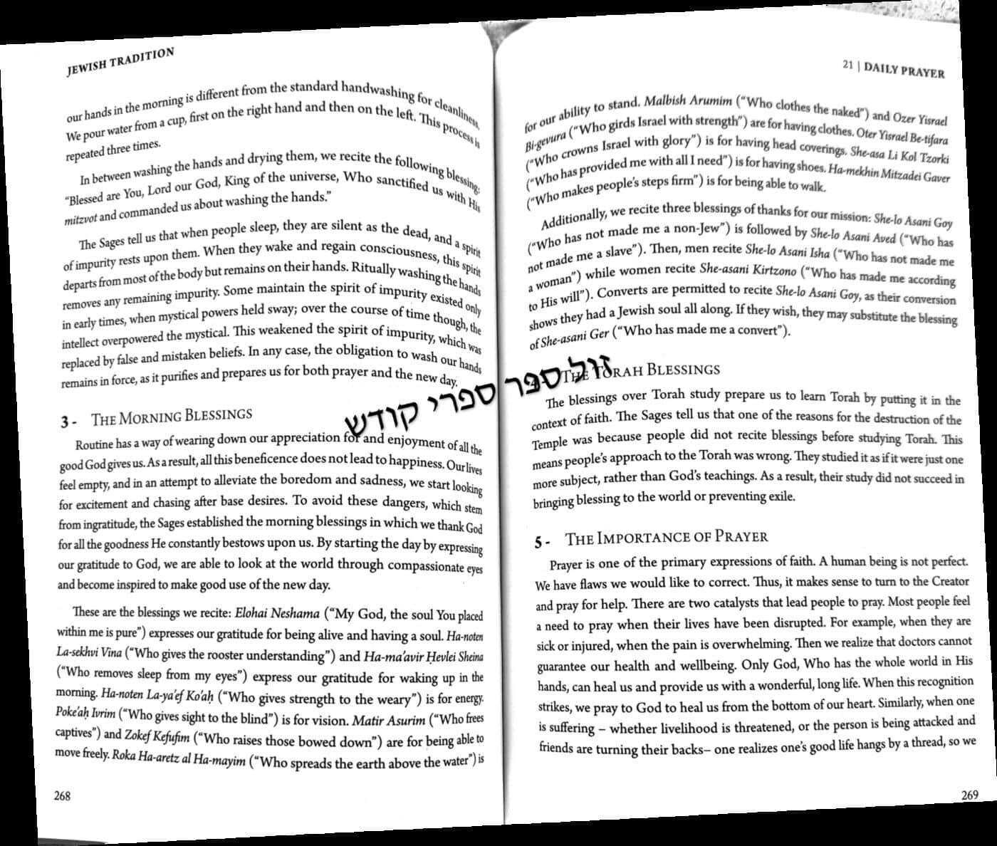 Jewish Tradition | &nbsp;Rabbi Eliezer Melamed