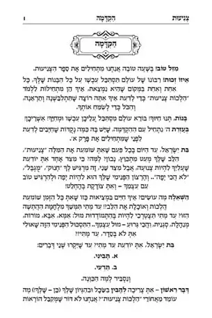 צניעות רונן חזיזה