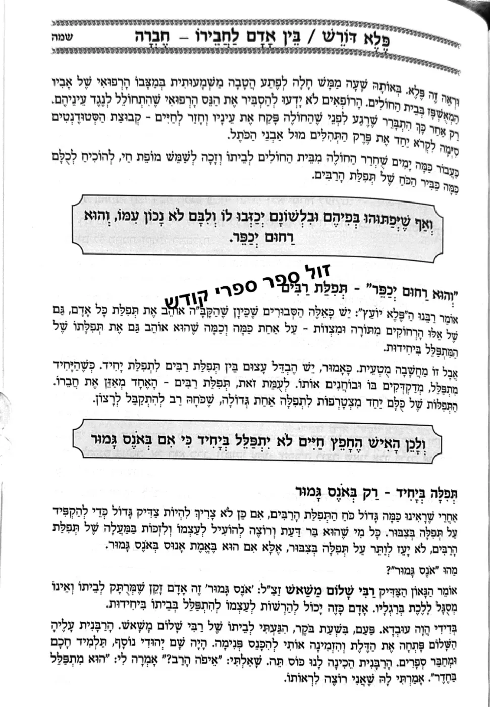 פלא דורש פלא יועץ