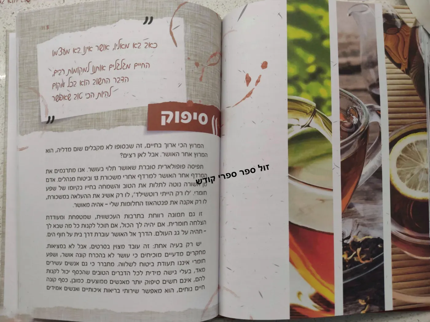 14 כוסות תה בשבוע שניאור אשכנזי