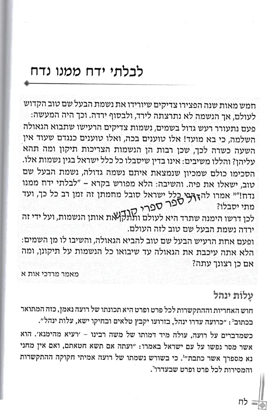 אור ישראל גינזבורג