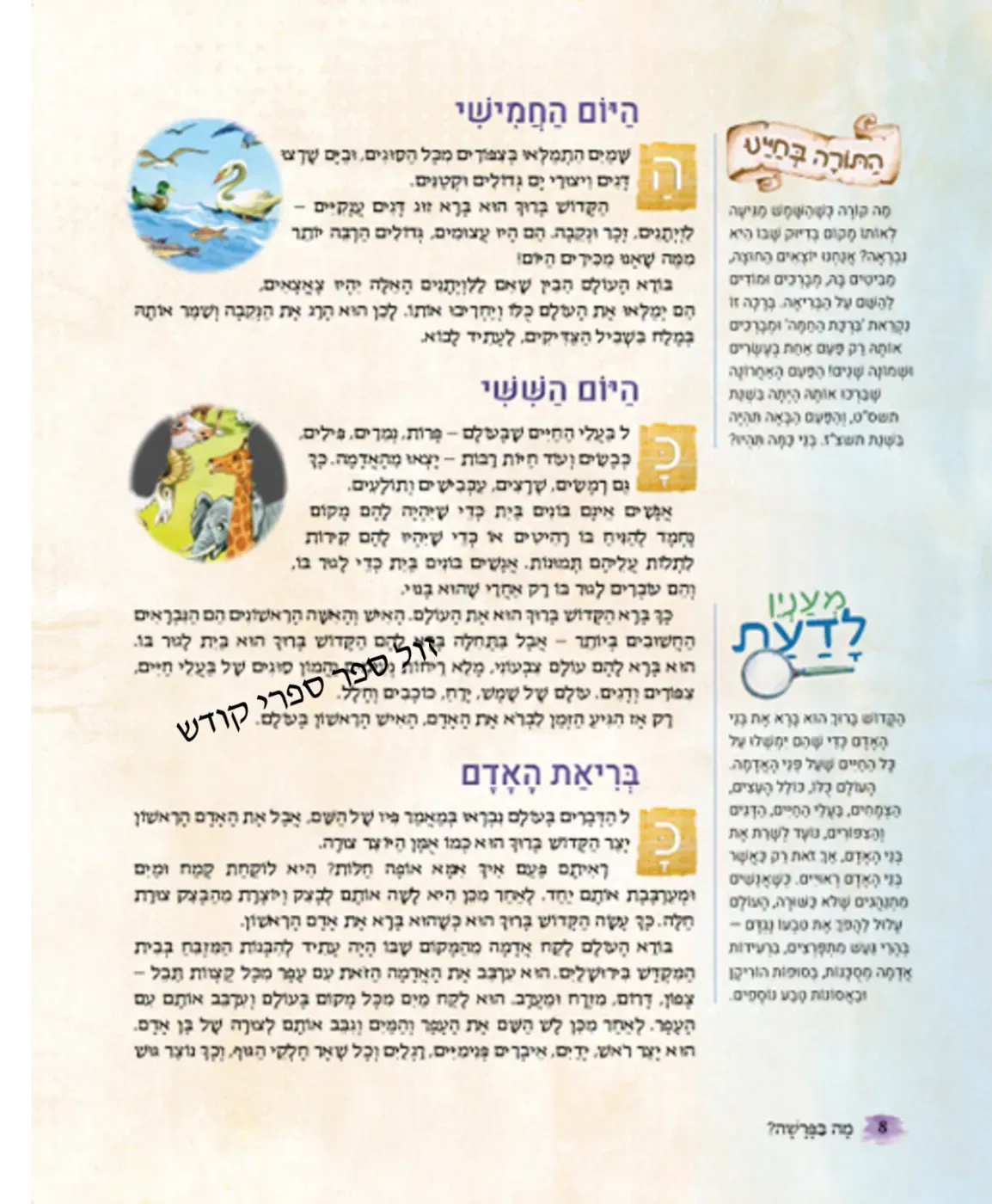 מה בפרשה ארטסקרול