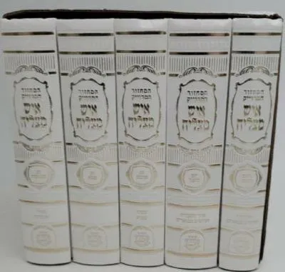 מחזורים איש מצליח 5 כרכים - המחזור המדוייק | ישיבת כסא רחמים