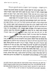 באור פניך - חגי תשרי | הרב ראובן ששון