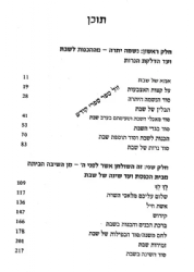 נשמה יתרה - התבוננות בסוד השבת | ליאור אנגלמן