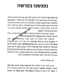 ניפגש בפרשה - שיחות בין הרב אורי שרקי לאראל סג"ל