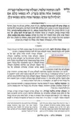 משניות ארטסקרול מהדורת רייזמן טהרות חלק ב'