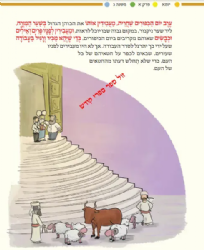 משניות יומא מבוארת ומאוירת - משנאות | הוצאת קורן