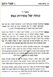 אמרי נועם על התורה והמועדים 6 כרכים | הרב יורם אברג'ל זצ"ל