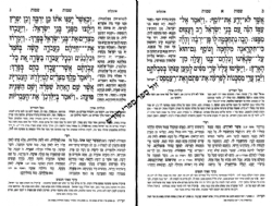 סט חומשים "איש מצליח" החומש המדוייק עם תפילות שבת - בינוני