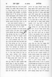 תולדות יעקב יוסף על התורה | רבי יעקב יוסף כ"ץ מפולנאה