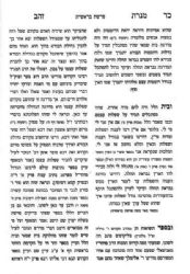 מנורת זהב המפואר על התורה | רבי זושא מאניפולי