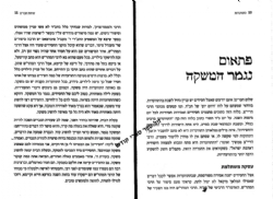 שיחת חברים בעבודת השם | מיכי יוספי