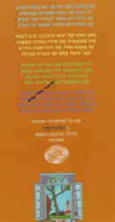 הבלשים בלעז - קומיקס 13 |אלי וגולד