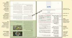 המשנה המבוארת סט 13 כרכים | הרב עדין אבן ישראל שטיינזלץ