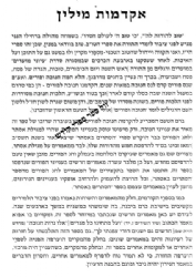 עיוני מועדים - שיחות לחנוכה ופורים | הרב אברהם ריבלין