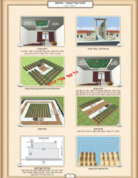 ההוד וההדר עירובין - תמונות מאירות עיניים להמחשה