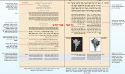 התנ"ך המבואר - שמואל | הרב עדין שטיינזלץ אבן ישראל