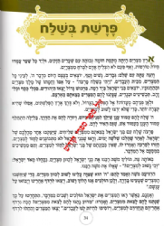 פרשת שבוע לילדי ישראל - במדבר | ושננתם