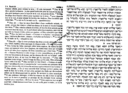 חמישה חומשי תורה בכרך אחד מתורגם לצרפתית עם תפילת שחרית לשבת - בינוני