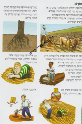 פניני הלכה לילדים - הלכות שבת חלק שלישי | מכון הרב ברכה