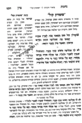 נחמת ציון - תמוז * אב * בין המצרים * ביאור הקינות | הרב בן ציון מוצפי