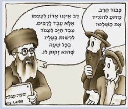 אורות בשביל הארץ - בעקבות הרב קוק | עדי דוד