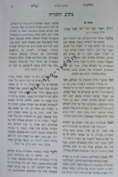 נתיבות עולם | המהר"ל מפראג