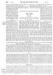 ארבעה טורים בינוני 23 כרכים | מכון המאור