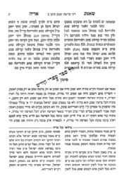 שו"ת שאגת אריה עם ליקוט מלואי קול אריה ומפתחות מפורטים | דזימיטרובסקי