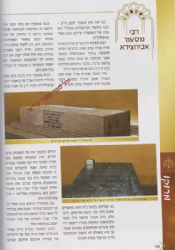 קברי צדיקים בעולם חלק א' - ארצות ערב | מכון זכרון הצדיקים