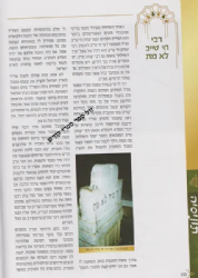 קברי צדיקים בעולם חלק א' - ארצות ערב | מכון זכרון הצדיקים