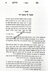 זמן חרותנו פסח - ליקוטים מתורת רבותינו ובפרט מהגר"א ובית מדרשו | רבי דוד כהן