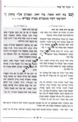 הגדה של פסח - בצלו חמדתי | הרב אהרן יהודה לייב שטיינמן