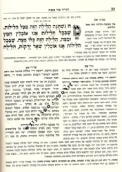 הגדה של פסח - שרידי אש | רבי יחיאל יעקב ויינברג