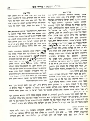 הגדה של פסח - שרידי אש | רבי יחיאל יעקב ויינברג