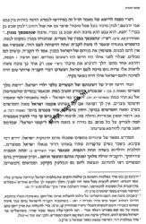 עיוני מועדים פסח - מאמרים להגדה של פסח | הרב אברהם ריבלין