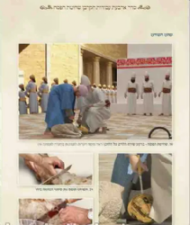 סדר אמירת קרבן פסח בליווי תמונות המחשה + סרט הקרבת קרבן פסח