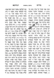 מדרש תנחומא מנוקד - 2 כרכים