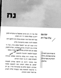 מרבה חיים - מאמרים לפרשיות השבוע ומועדי ישראל | אמיר סנדלר