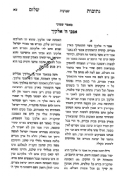 נתיבות שלום - ספירת העומר, ל"ג בעומר וחג השבועות | האדמו"ר מסלונים