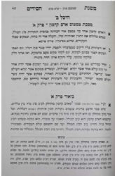 משנת חסידים (קיצור עץ חיים) 2 כר' - עם ביאור בית שער