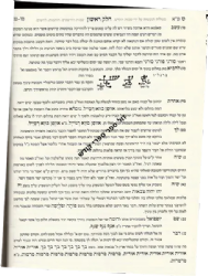 תעלומות חכמה - ספר הרפואות | רבי חיים ויטאל