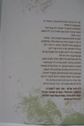 רק לומר שלום | חוה רוזנברג