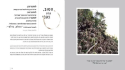 עולם הפוך ראיתי | חני ויינרוט